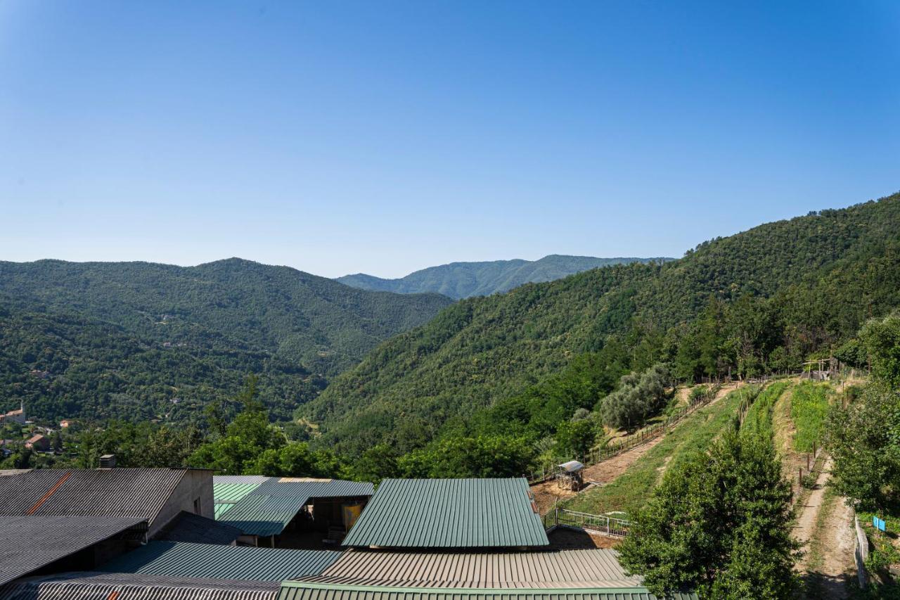 01234 - Agriturismo La Marpea, Esperienza In Mezzo Alla Natura E Al Cibo Tipico Italiano Villa Terisso Exteriör bild